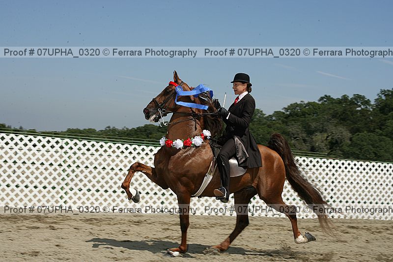 Proof Number 07upha_0320
