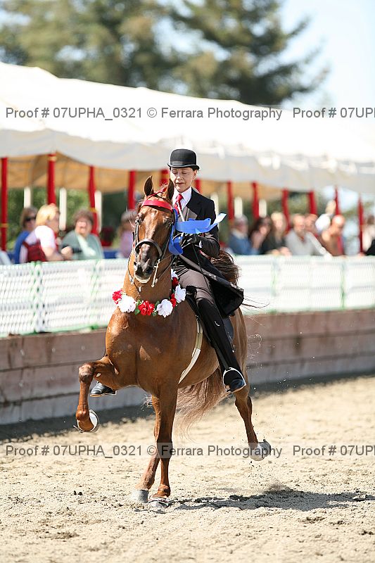 Proof Number 07upha_0321