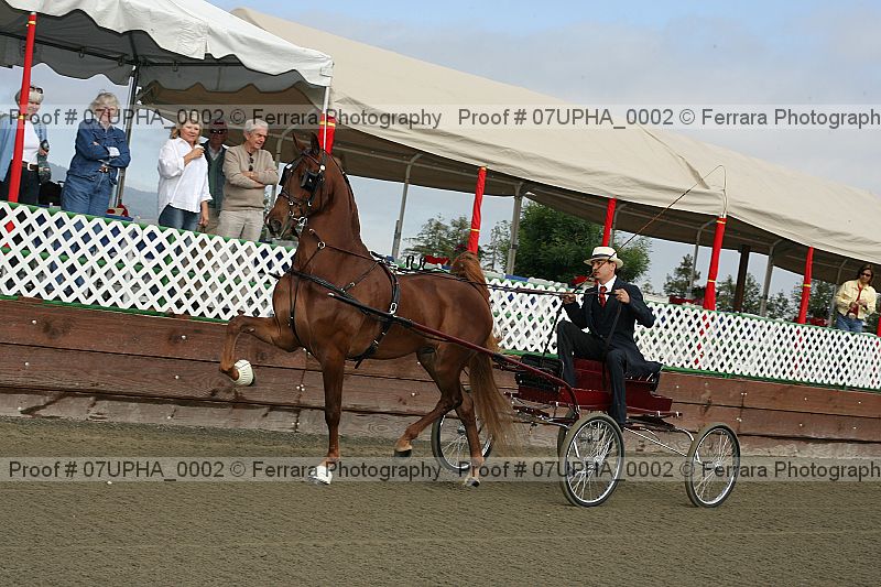 Proof Number 07upha_0002