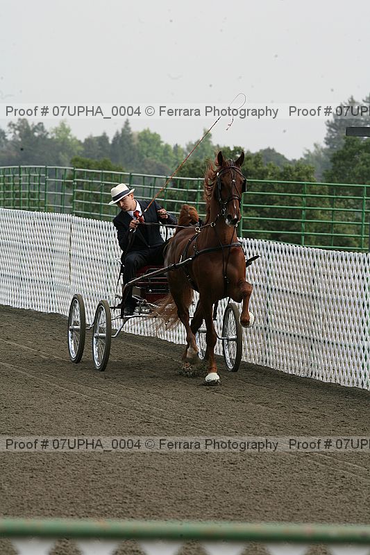 Proof Number 07upha_0004