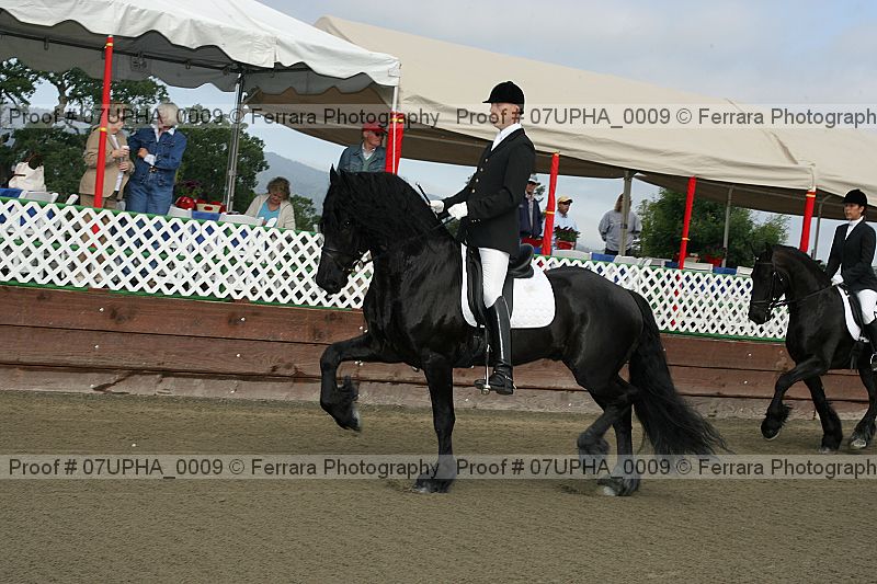 Proof Number 07upha_0009