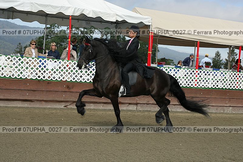 Proof Number 07upha_0027