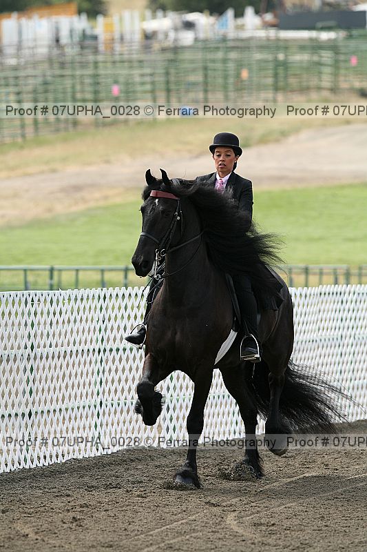 Proof Number 07upha_0028