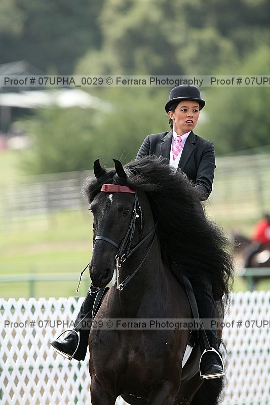 Proof Number 07upha_0029