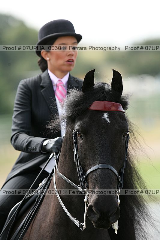 Proof Number 07upha_0030