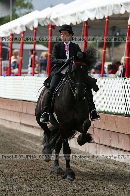 Proof Number 07upha_0033