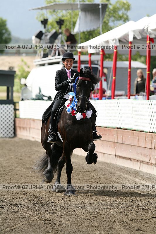 Proof Number 07upha_0036