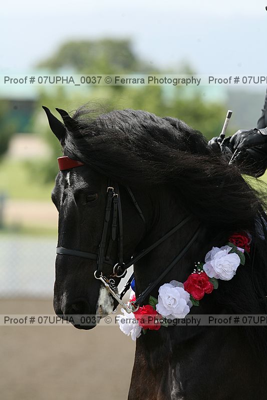 Proof Number 07upha_0037