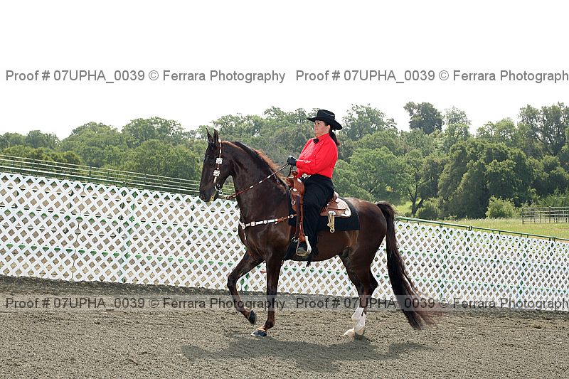 Proof Number 07upha_0039