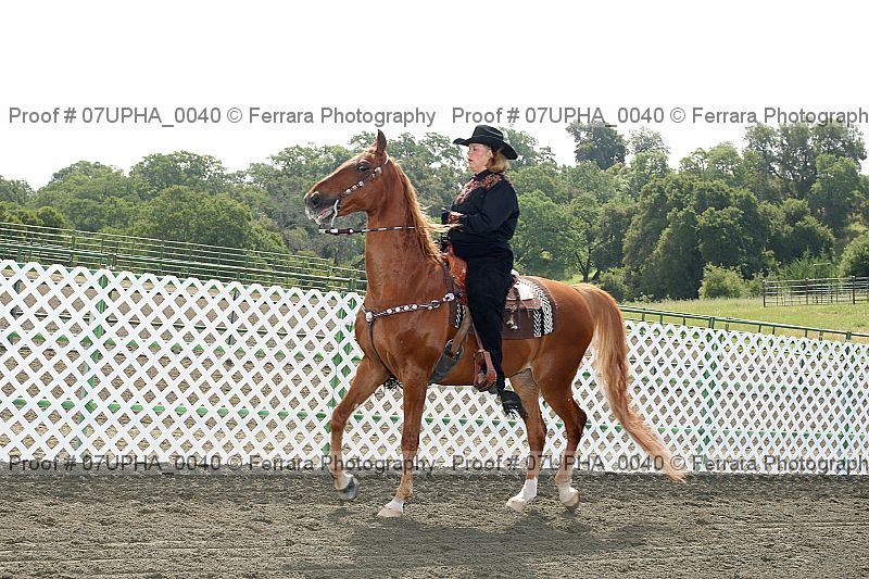 Proof Number 07upha_0040