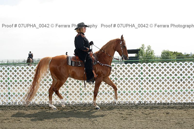 Proof Number 07upha_0042