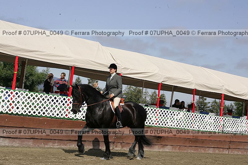 Proof Number 07upha_0049