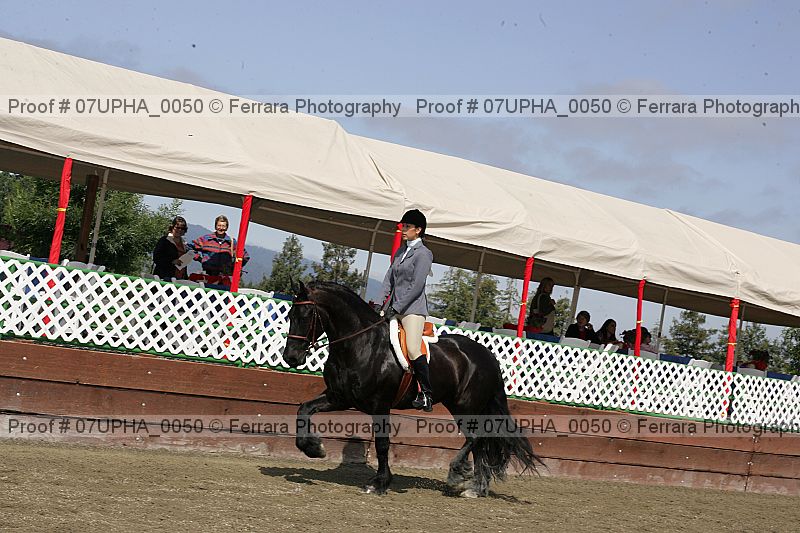 Proof Number 07upha_0050