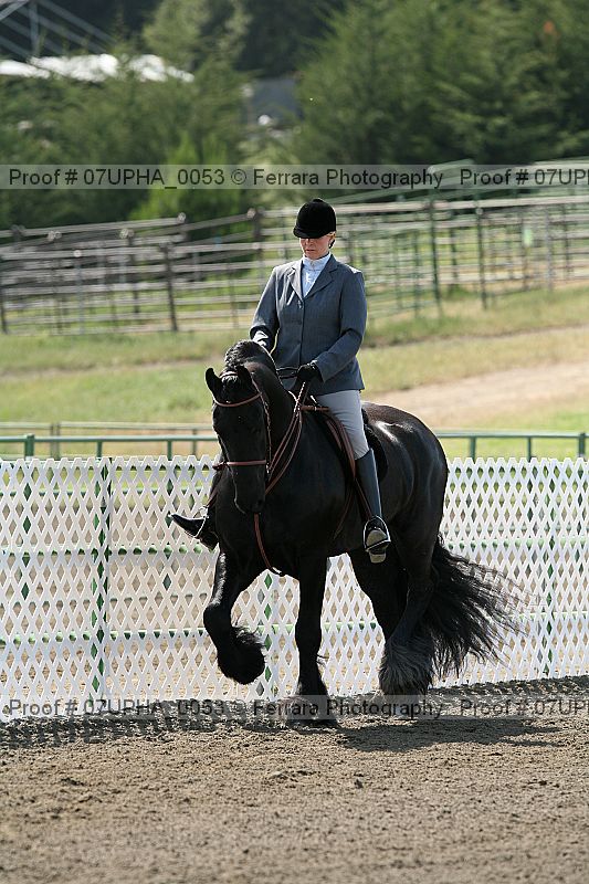 Proof Number 07upha_0053