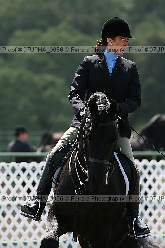 Proof Number 07upha_0056