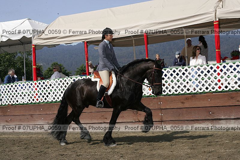 Proof Number 07upha_0059