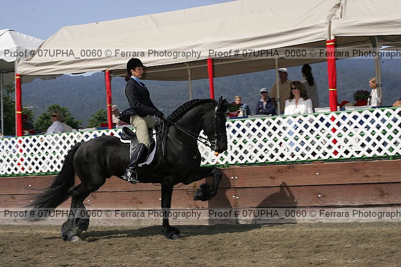 Proof Number 07upha_0060