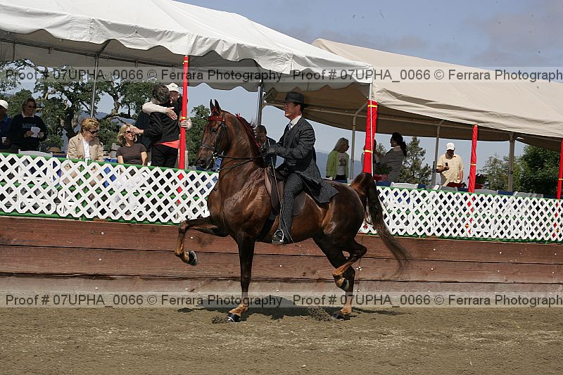 Proof Number 07upha_0066