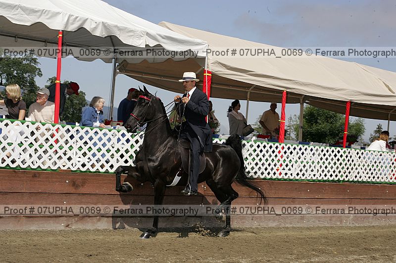 Proof Number 07upha_0069