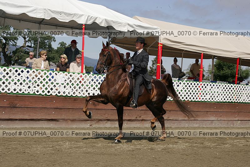 Proof Number 07upha_0070