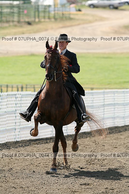 Proof Number 07upha_0074