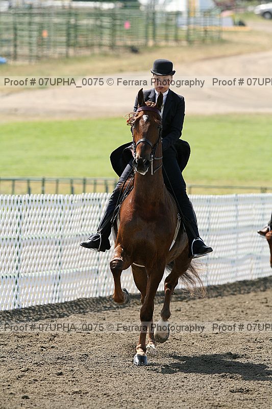 Proof Number 07upha_0075