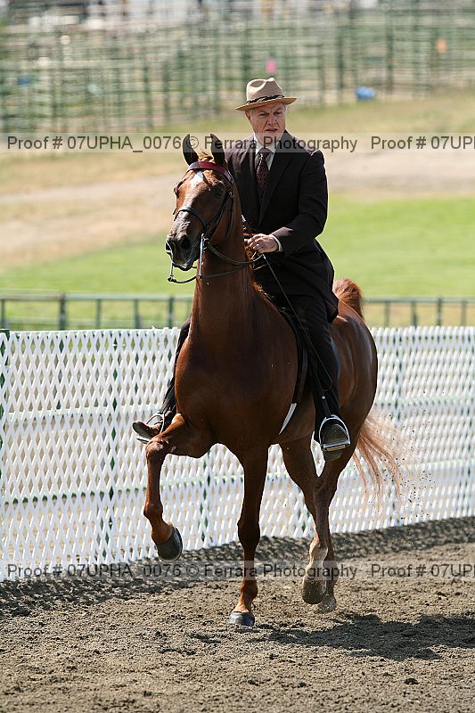 Proof Number 07upha_0076