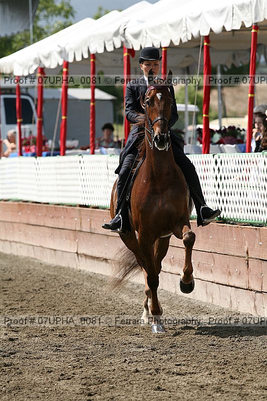 Proof Number 07upha_0081