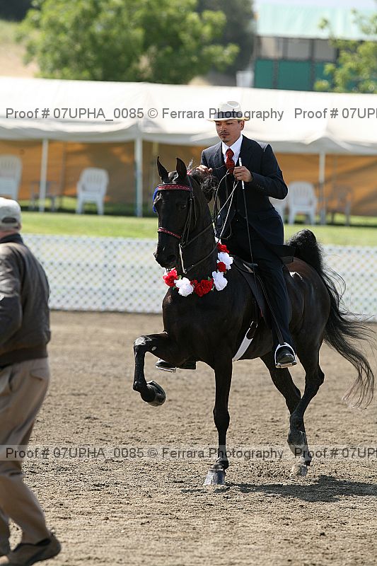 Proof Number 07upha_0085