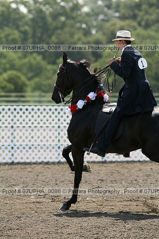 Proof Number 07upha_0086
