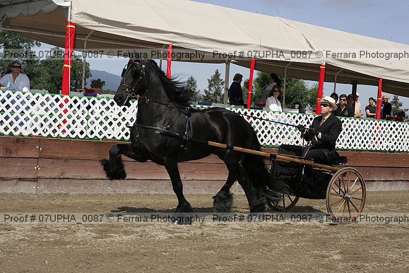 Proof Number 07upha_0087