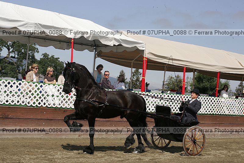 Proof Number 07upha_0088