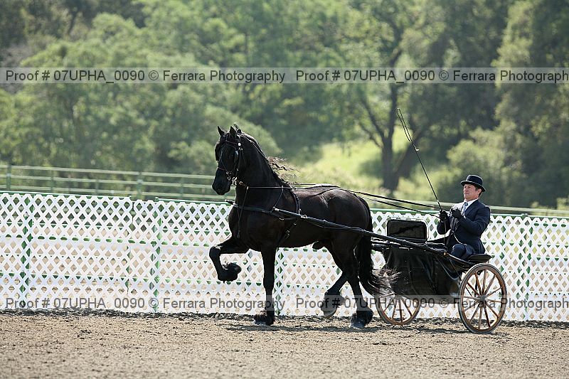 Proof Number 07upha_0090