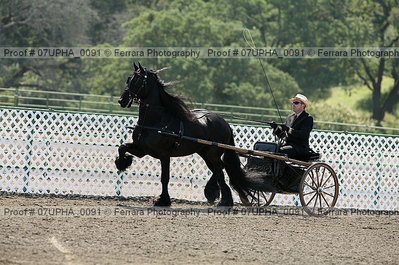 Proof Number 07upha_0091
