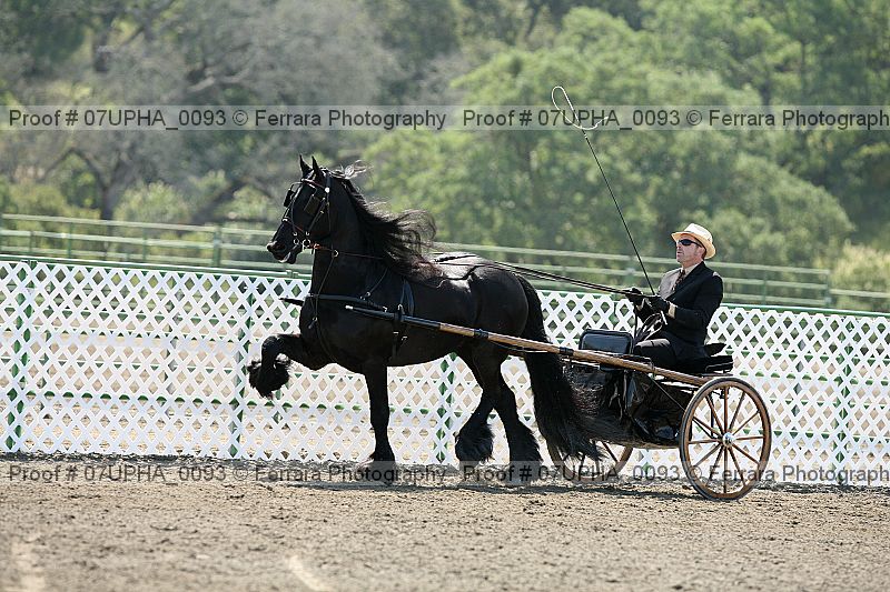 Proof Number 07upha_0093