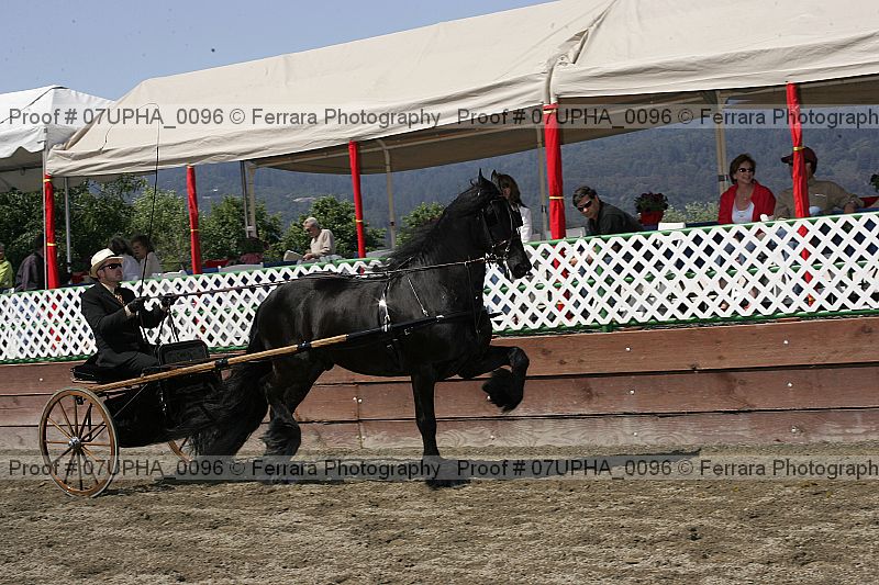 Proof Number 07upha_0096