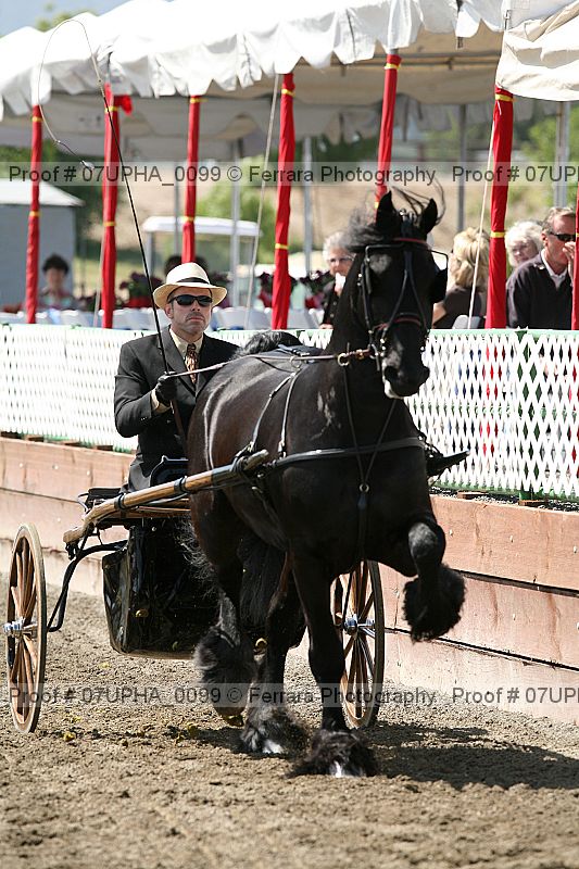 Proof Number 07upha_0099