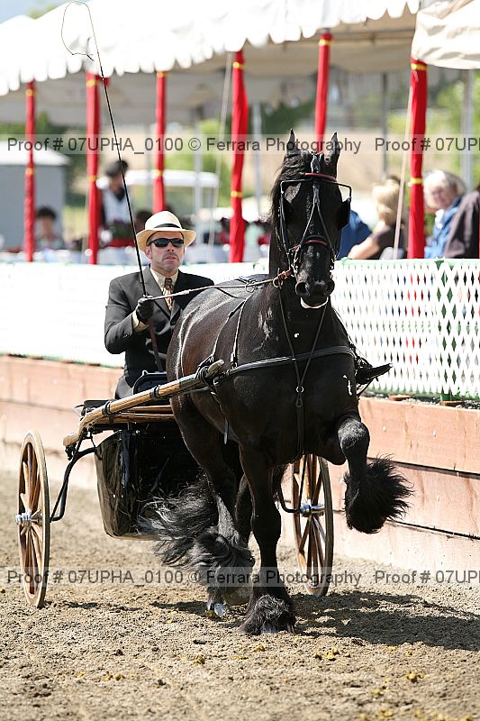 Proof Number 07upha_0100