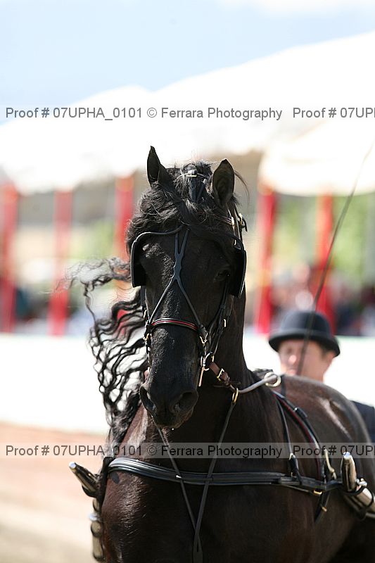 Proof Number 07upha_0101