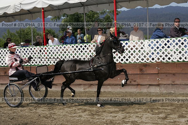Proof Number 07upha_0107