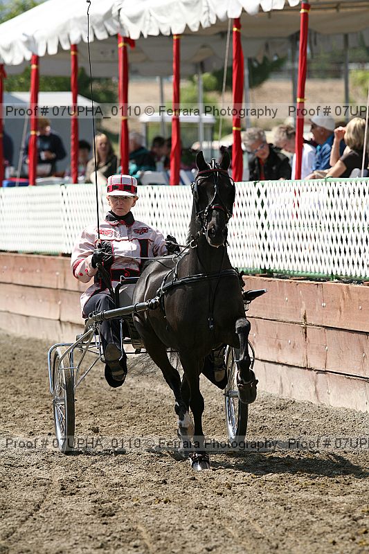 Proof Number 07upha_0110