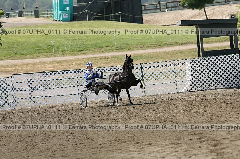 Proof Number 07upha_0111