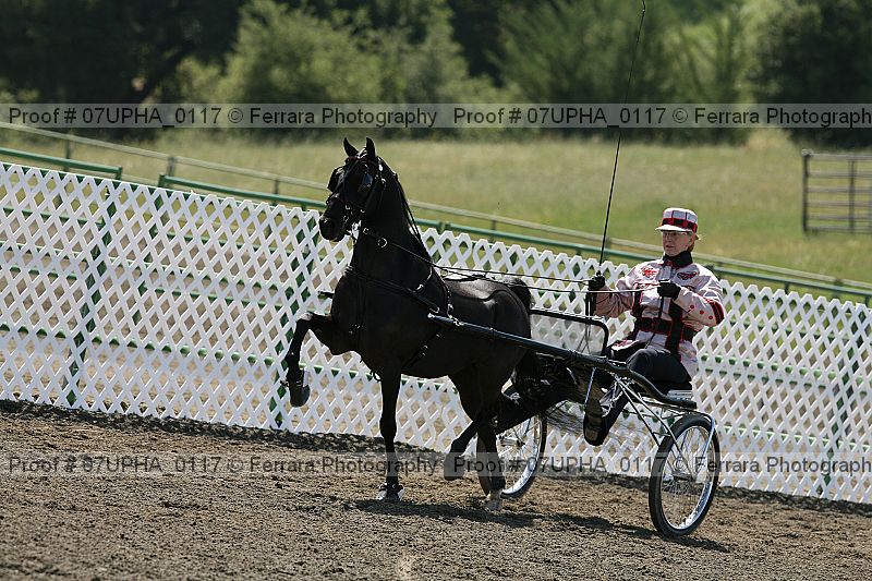 Proof Number 07upha_0117