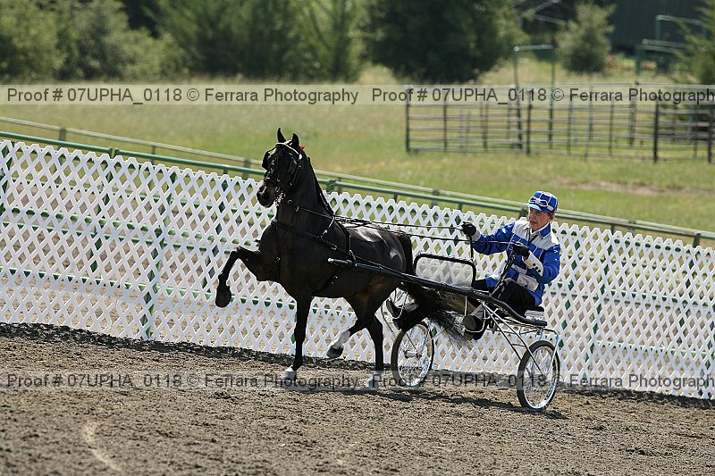 Proof Number 07upha_0118