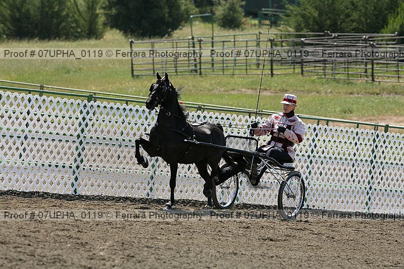 Proof Number 07upha_0119