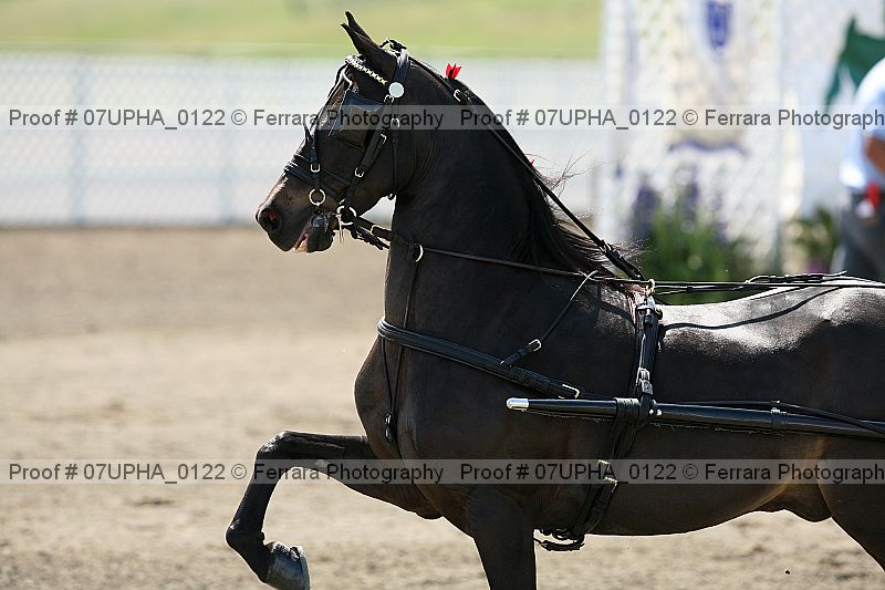 Proof Number 07upha_0122