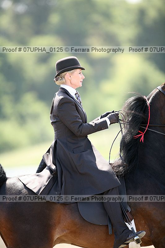 Proof Number 07upha_0125