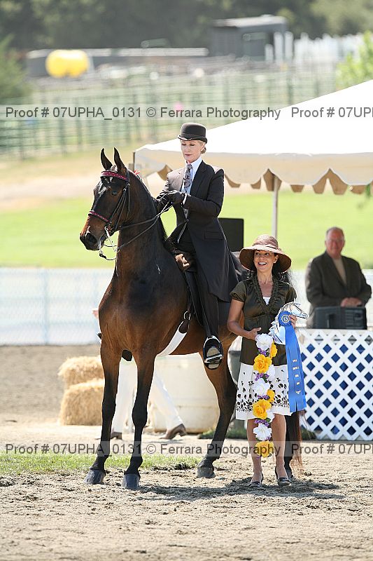 Proof Number 07upha_0131