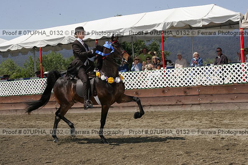 Proof Number 07upha_0132