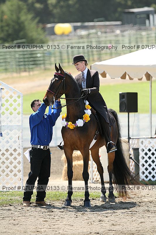 Proof Number 07upha_0133
